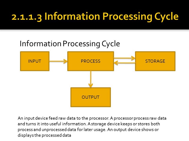 Information processor performs computation and storage